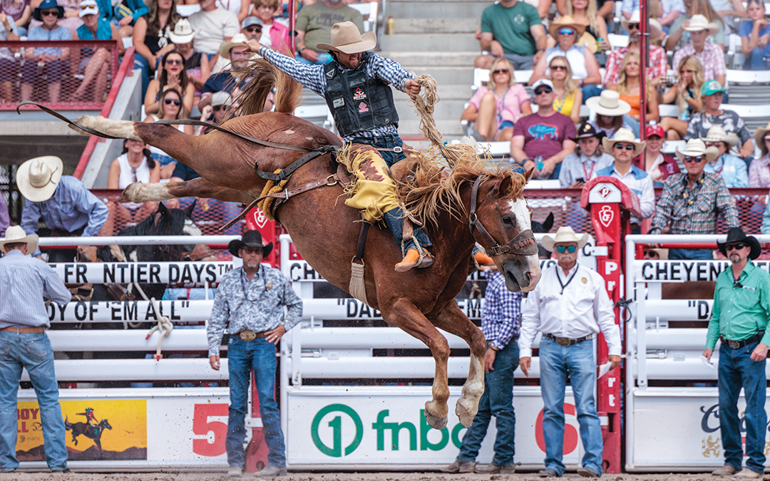 Rodeo Roles