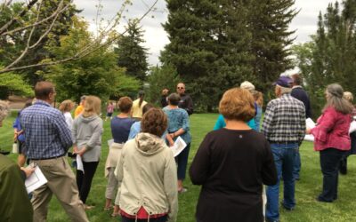 History, Trees and Cowboys: Free June Events in Greeley