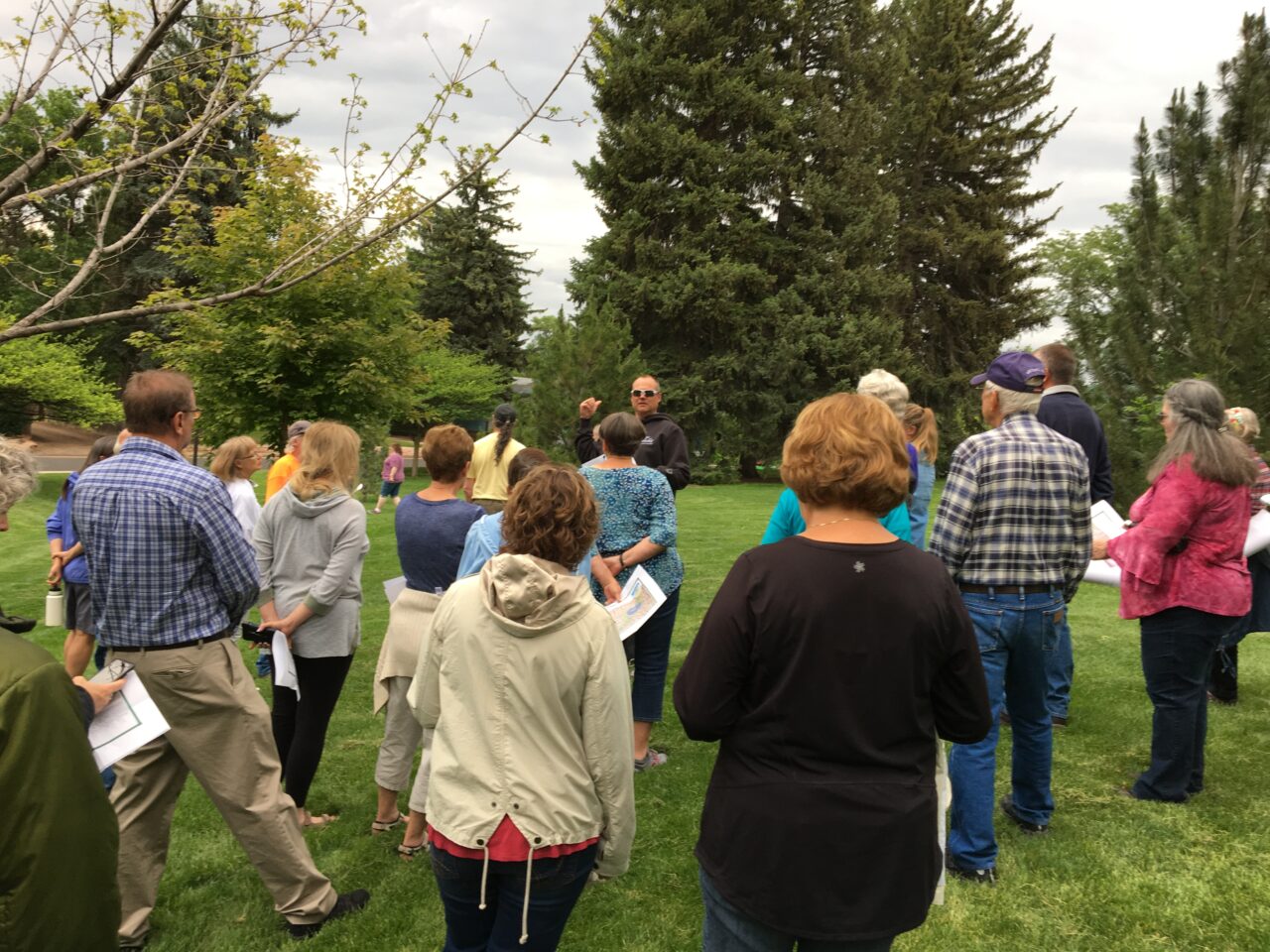 A group of people listen to a person talk about a variety of trees in the background.