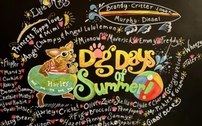 Celebrate the ‘Dog Days of Summer’ with Harley’s Dream