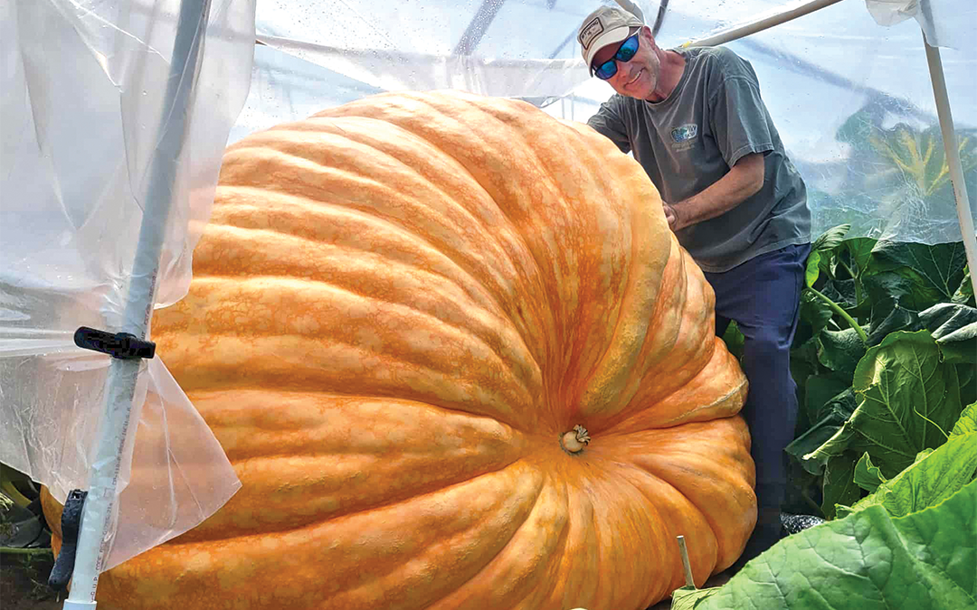 The Gourd Life