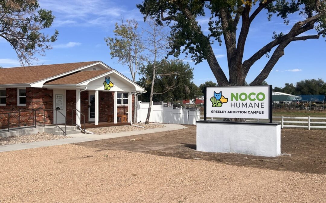 NOCO Humane Opens Greeley Adoption Campus