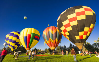 Hot air balloons launching into the air.
