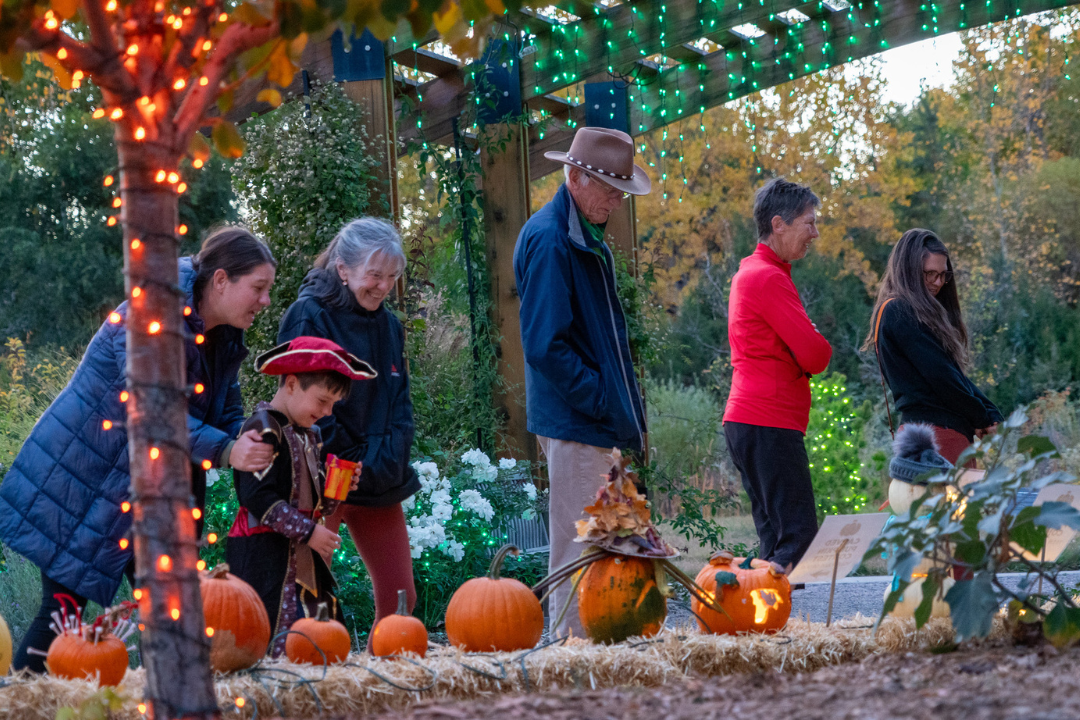 2025 Pumpkins on Parade at The Gardens on Spring Creek | NOCO Style ...