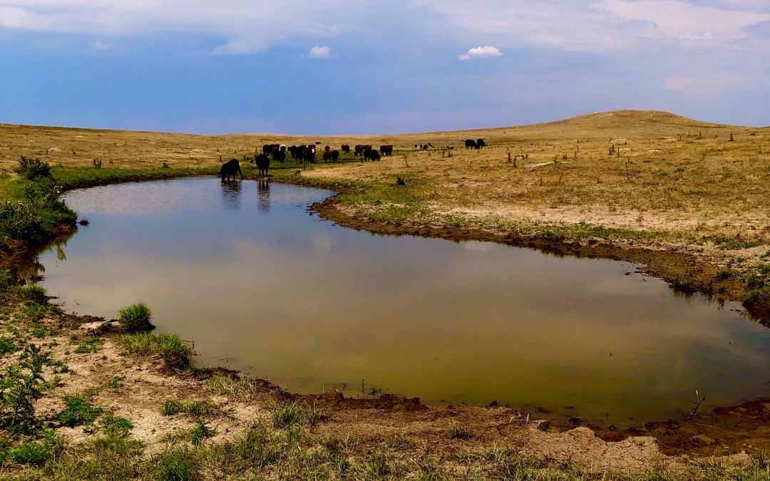 Colorado Youth Outdoors Awarded 131 Acres From Chevron