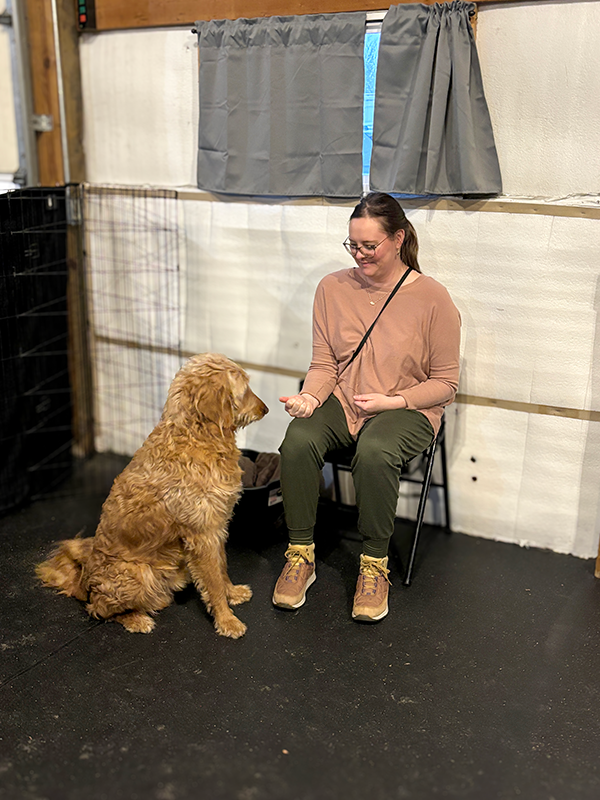 Aims dog training course