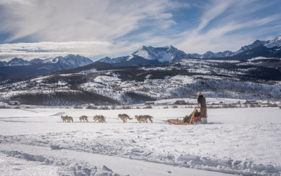 A Dog-gone Good Time