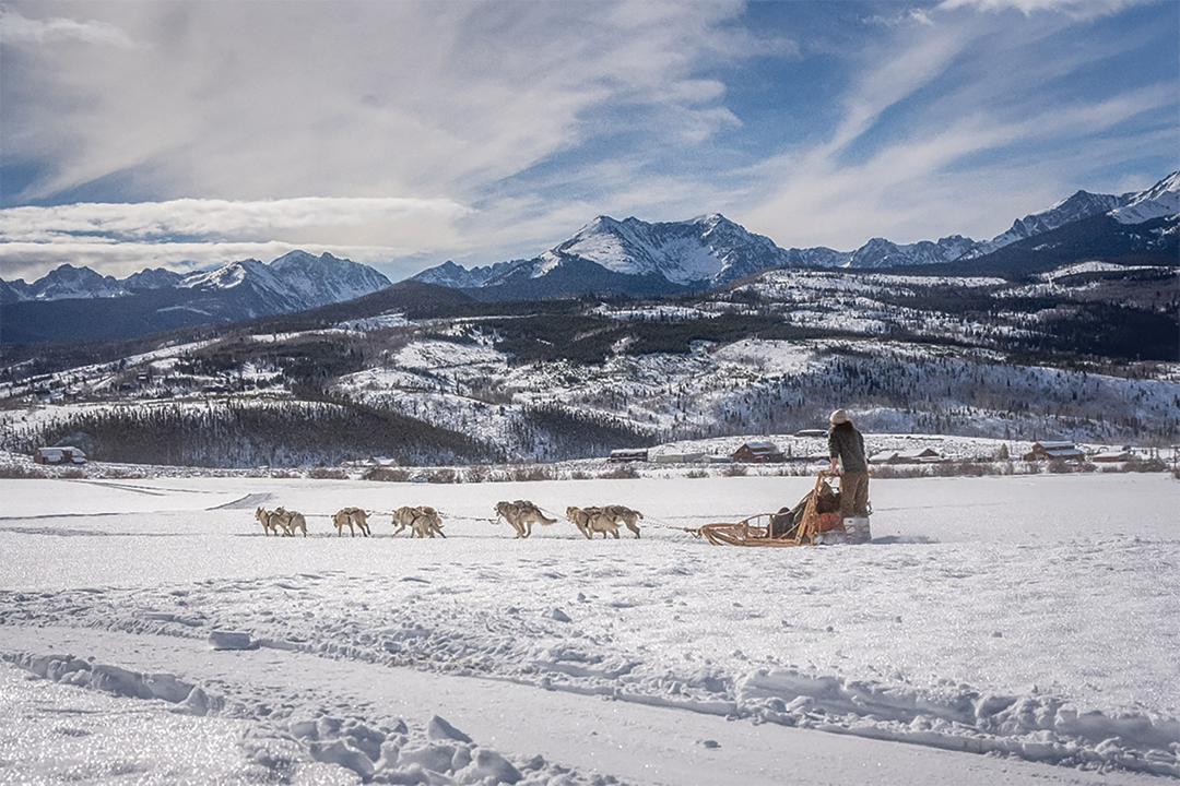 Photos courtesy of Colorado Dog Sledding Tours Photos courtesy of Colorado Dog Sledding Tours