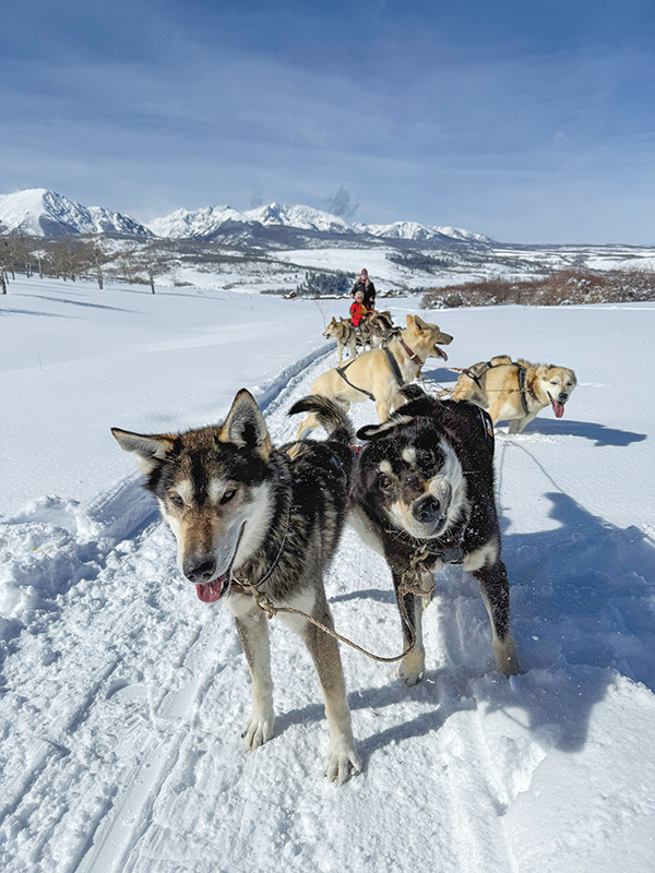 Colorado Dog Sledding.