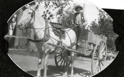 Charlie Clay sitting on top of a horse-drawn carriage with trees in the background.