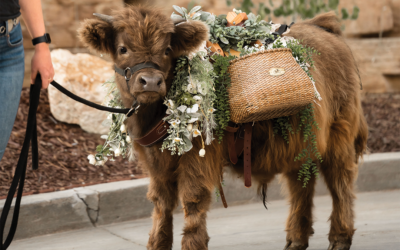 Good Times for Guests