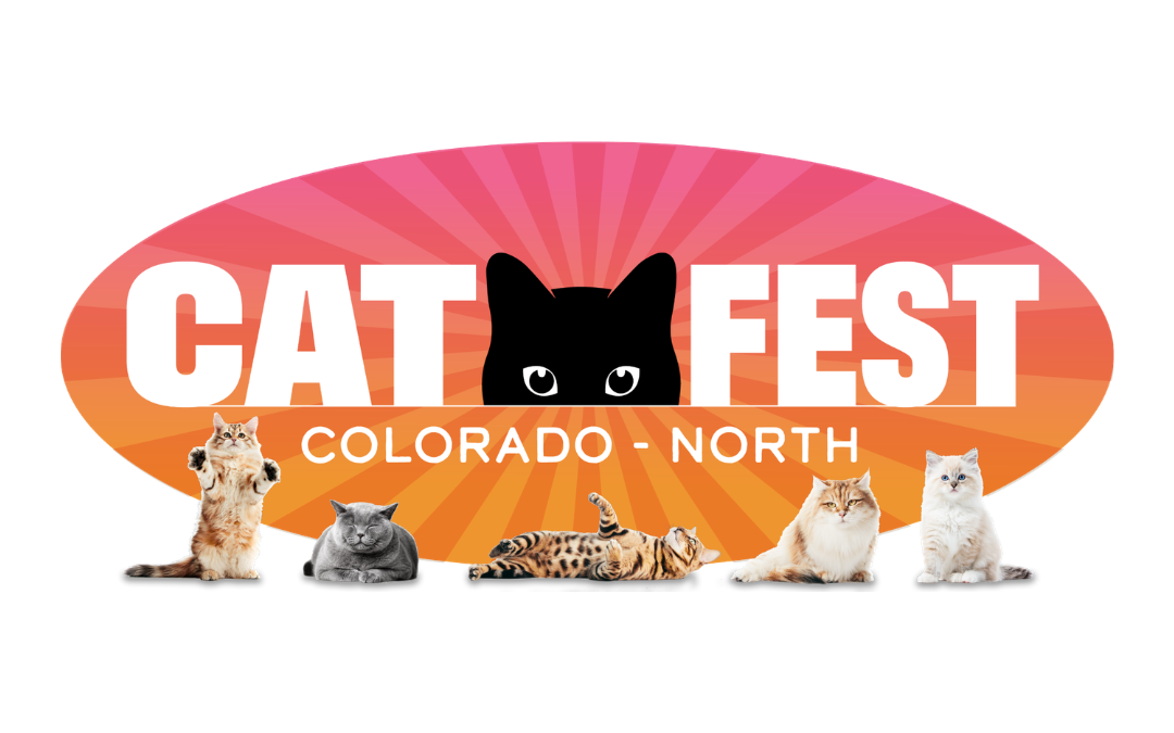 Cat Fest Colorado North Comes to Loveland