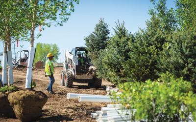 One Region, Three Landscapes