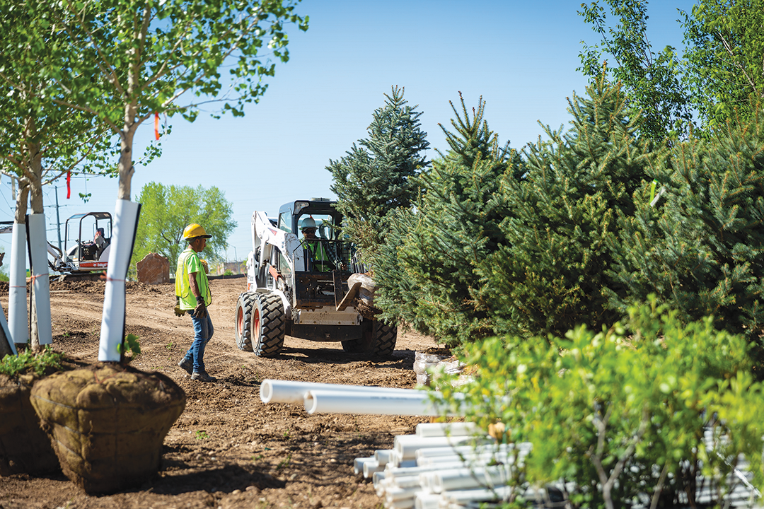 Zak George Landscaping