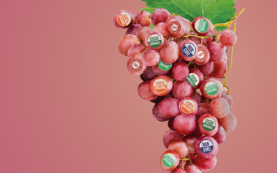 Overwhelmed by Organics?