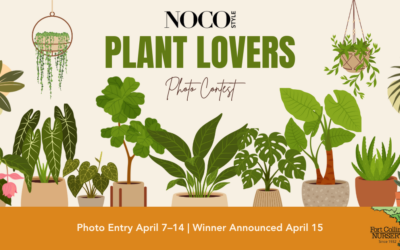 Plant Lovers Photo Contest