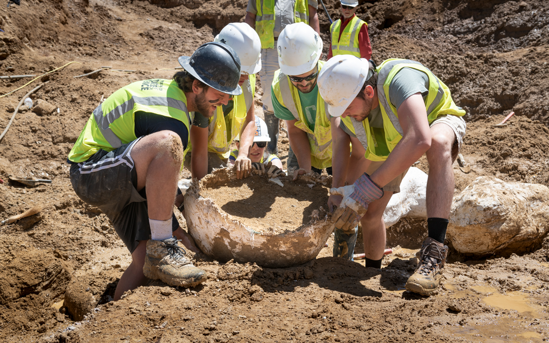 Digging Up Bones