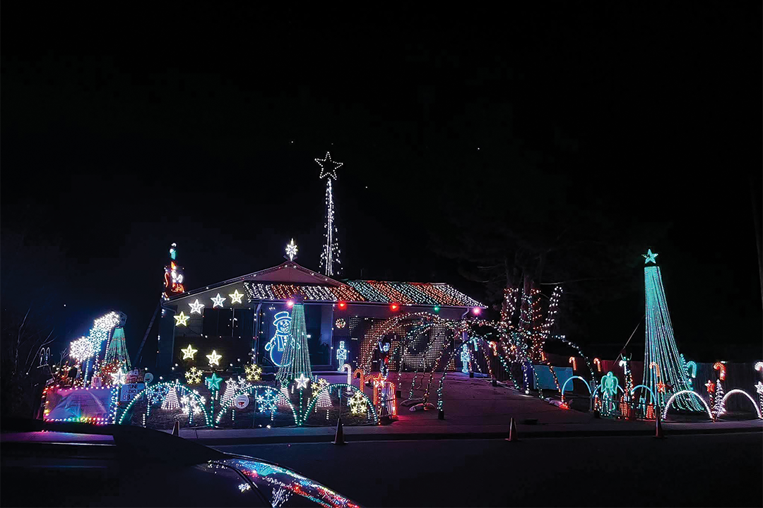 Vega-Holiday-House